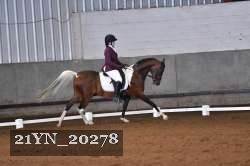 21YN_20278 thumbnail