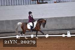 21YN_20279 thumbnail