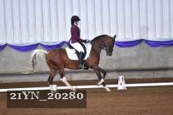 21YN_20280 thumbnail