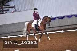 21YN_20282 thumbnail