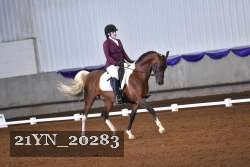 21YN_20283 thumbnail