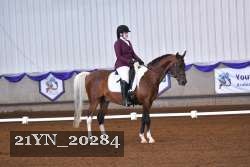 21YN_20284 thumbnail