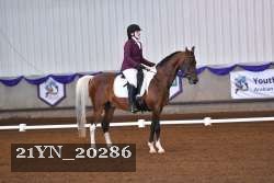 21YN_20286 thumbnail