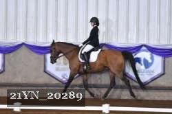 21YN_20289 thumbnail