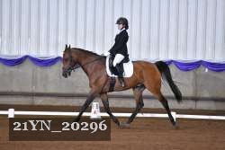21YN_20296 thumbnail