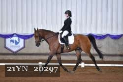 21YN_20297 thumbnail