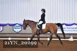 21YN_20299 thumbnail