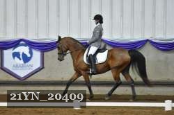 21YN_20409 thumbnail