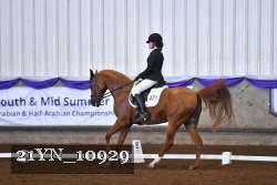 21YN_10929 thumbnail