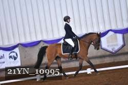 21YN_10995 thumbnail