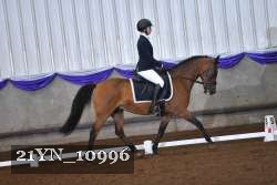 21YN_10996 thumbnail