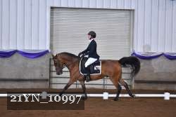 21YN_10997 thumbnail