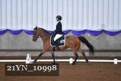 21YN_10998 thumbnail