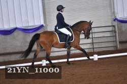 21YN_11000 thumbnail