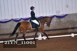 21YN_11001 thumbnail