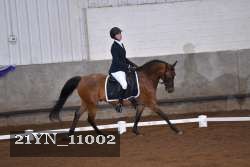 21YN_11002 thumbnail