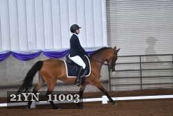 21YN_11003 thumbnail
