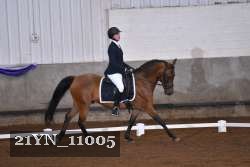 21YN_11005 thumbnail