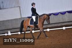 21YN_11009 thumbnail