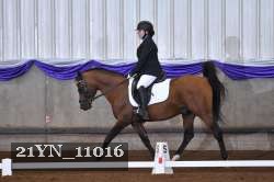 21YN_11016 thumbnail