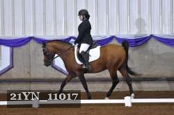 21YN_11017 thumbnail
