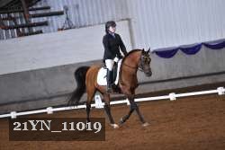 21YN_11019 thumbnail