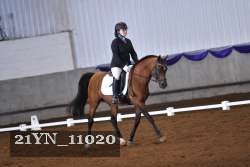 21YN_11020 thumbnail