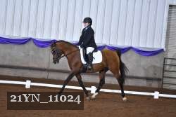 21YN_11024 thumbnail