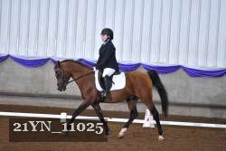 21YN_11025 thumbnail