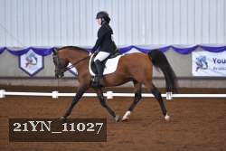 21YN_11027 thumbnail