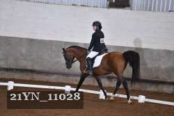 21YN_11028 thumbnail