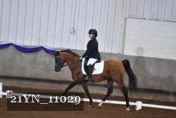 21YN_11029 thumbnail