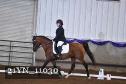 21YN_11030 thumbnail