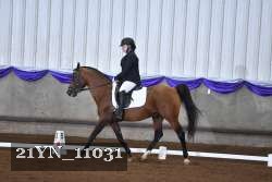 21YN_11031 thumbnail
