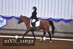 21YN_11032 thumbnail
