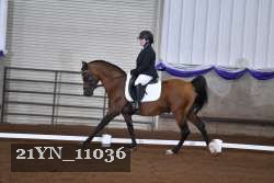 21YN_11036 thumbnail