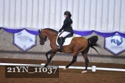 21YN_11037 thumbnail