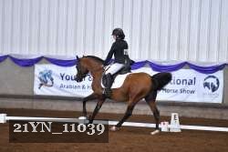 21YN_11039 thumbnail