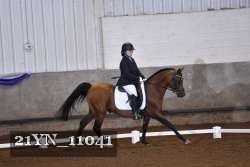 21YN_11041 thumbnail