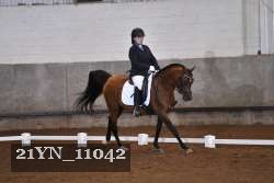 21YN_11042 thumbnail