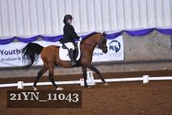 21YN_11043 thumbnail