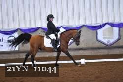 21YN_11044 thumbnail