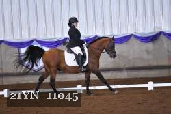 21YN_11045 thumbnail