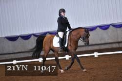 21YN_11047 thumbnail