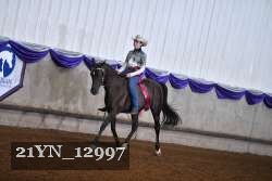 21YN_12997 thumbnail