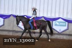21YN_13002 thumbnail