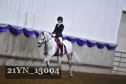 21YN_13004 thumbnail