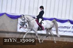 21YN_13009 thumbnail