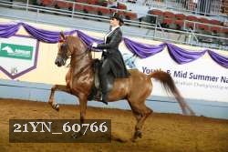 21YN_60766 thumbnail