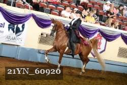 21YN_60920 thumbnail